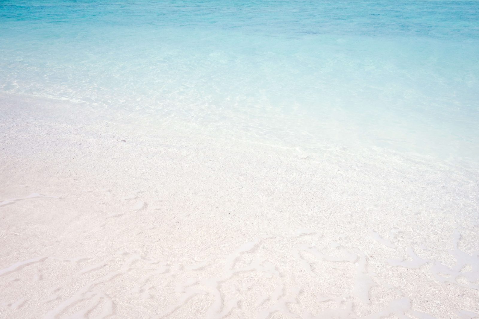 White flower floating on calm teal salt water with ripples